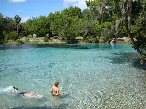 Florida Springs Pictures – clear blue water photos | Florida vacation ...