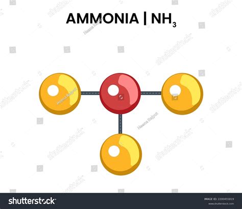 List 98 Pictures The Ammonia Molecule Nh3 Is Updated