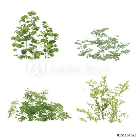 Shrub Vector At Collection Of Shrub Vector Free For