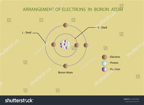 Vector Diagram Arrangement Electrons Boron Atom Stock Vector (Royalty ...