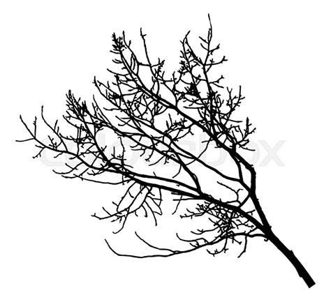 Leafless Tree Silhouette Drawing