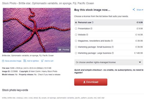 personal      alamy blog