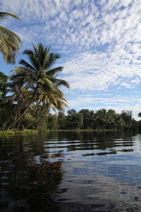 Cuba Flow Natural Lake - Free photo on Pixabay - Pixabay