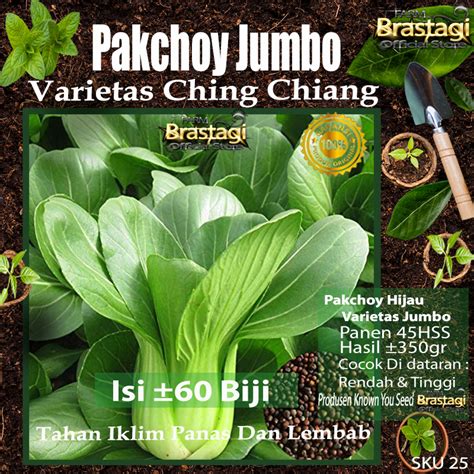 Jual Fbtg Benih Biji Bibit Sawi Pakchoy Ching Chiang Daun