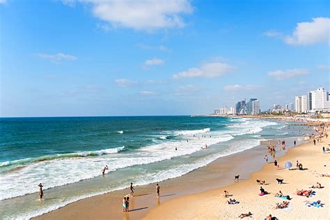 How To Get From Haifa To Tel Aviv Bein Harim Tours