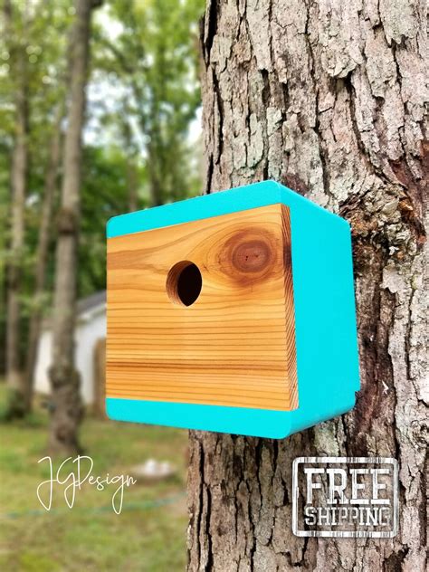 Birdhouse Modern Wooden Birdhouse Minimalist Retro Design Blue Fiji With Danish Oiled Cedar Face