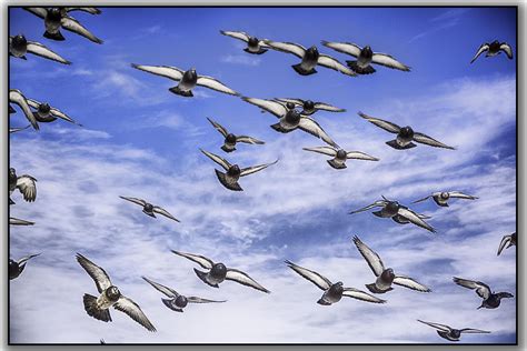 Hintergrundbilder Himmel Flugzeug fliegend Fluss Militärflugzeug