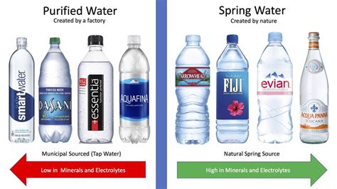 Purified Water vs Spring Water