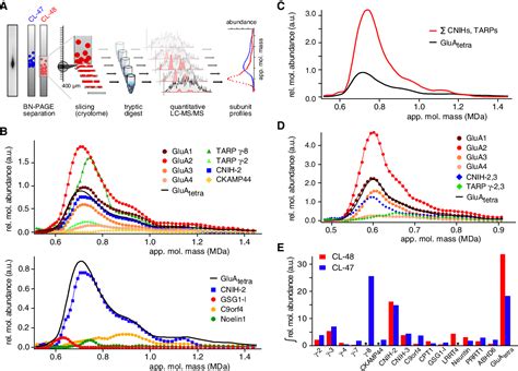 Figure From High Resolution Proteomics Unravel Architecture And