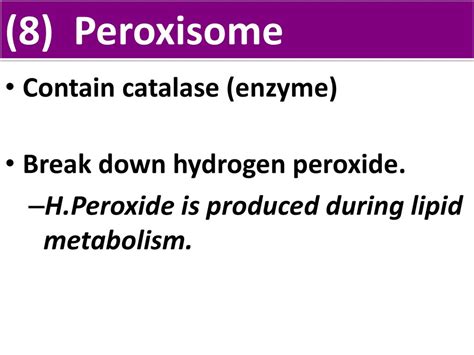 Unit 2 Notes Organelles Ppt Download