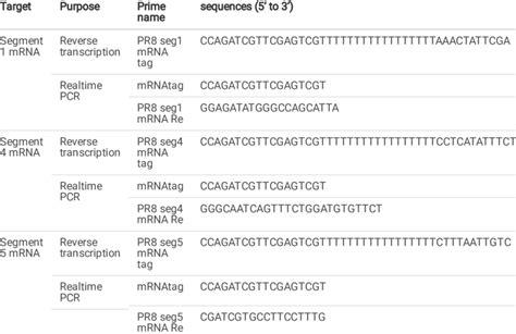 Primer Sequences For Quantitative Real Time Pcr Download Scientific