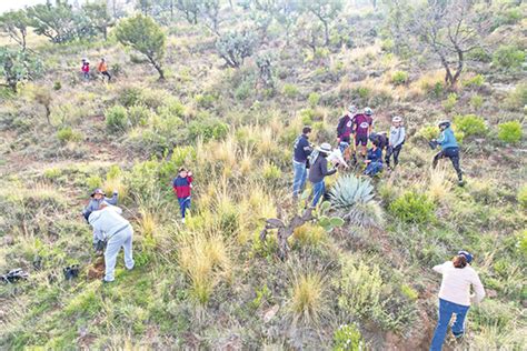 La Crónica De Hoy En Hidalgo ~ 29 09 2023