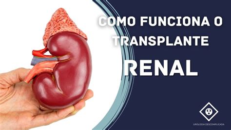 Como Funciona O Transplante Renal Youtube