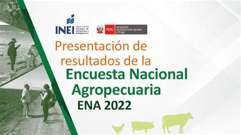 Resultados De La Encuesta Nacional Agropecuaria Ena Campa As