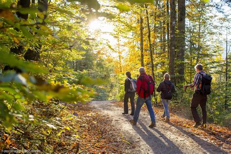 Ber Wanderungen Rund Um K Ln Koeln De