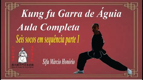 Kung fu Garra de Águia Aula 3 seis socos em sequência parte 1