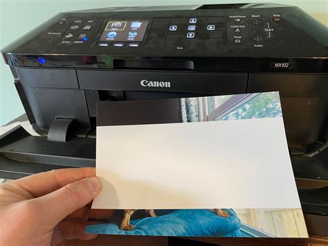 How To Fix My Hp Printer Printing Blank Pages Storables