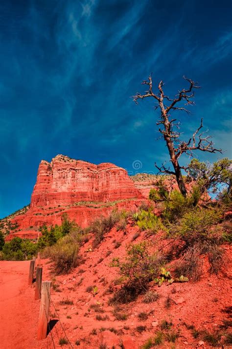 Bright Red Rocks And Lone Tree Before Blue Sky At Bell Rock In Sedona Arizona Stock Image