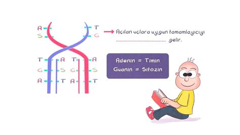 Tonguç Plus 8 Sınıf DNA ve Genetik Kod Konu Anlatımı