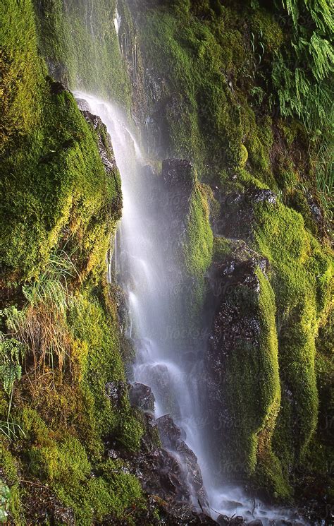 "Unnamed Waterfall Cascade On Olympic Peninsula In Washington Late ...