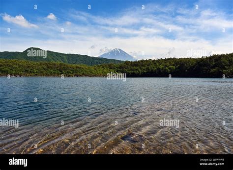 Saiko Lake and Mt. Fuji Stock Photo - Alamy