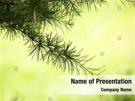 Decoration textured christmas tree PowerPoint Template - Decoration textured christmas tree ...