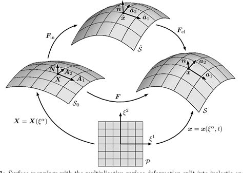 An Isogeometric Finite Element Formulation For Surface And Shell