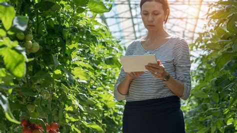 What To Know Before Adding Solar Panels To Your Greenhouse