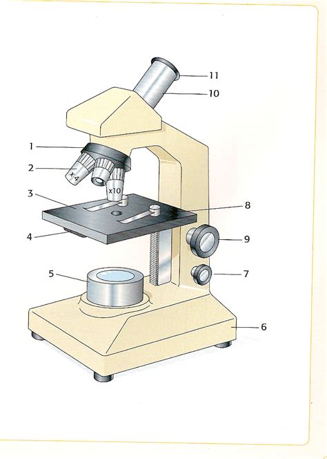 Shema De Microscope