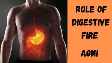 Role Of The Digestive Fire Agni Youtube