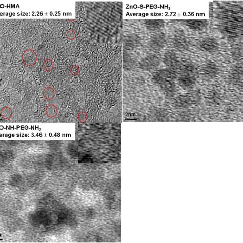 High Resolution TEM Images Of ZnOHMA QDs ZnO S PEG NH2 QDs And