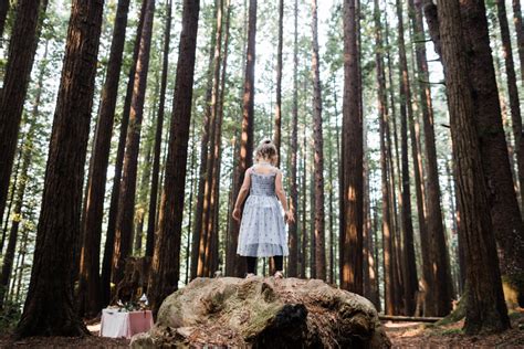 Intimate Wedding In The Redwoods Leon Villagomez Humboldt Wedding