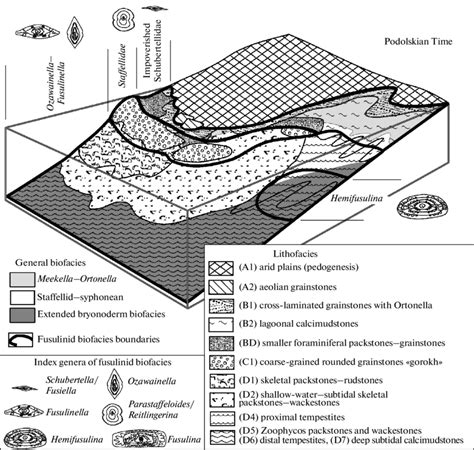 Podolskian fusulinid biofacies in the facies model of the Late ...