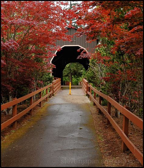 Pass Creek Covered Bridge Architecture Photos Steve S Photoblog