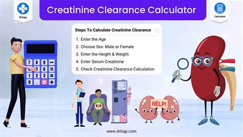 Creatinine Clearance Calculator | CRCI Calculator Kidney - Drlogy