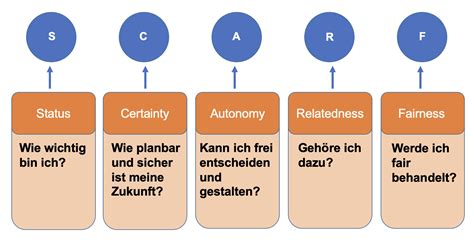 SCARF Modell Wie Neuroleadership Praktisch Funktioniert