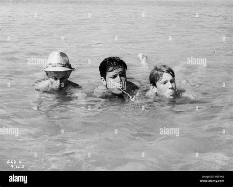 Summer Holiday 1963 Cliff Richard Melvyn Hayes Stock Photo Alamy