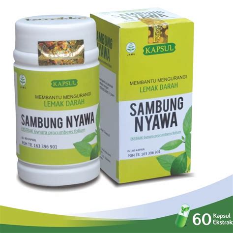 Jual Obat Herbal Mujarab Turunkan Kolestrol Dan Darah Tinggian Dengan