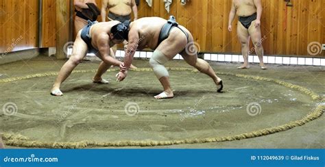 Sumo Wrestlers Training In Sumo Stables Editorial Photo | CartoonDealer ...