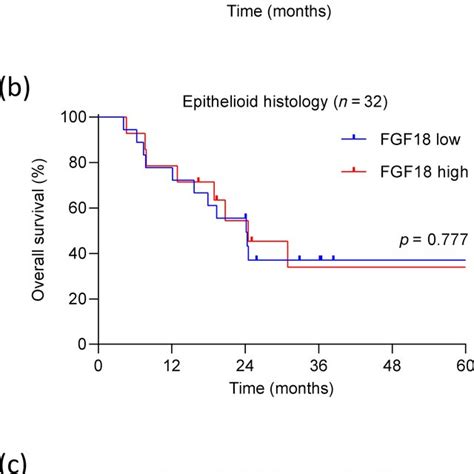 circulating fgf      survival  pleural