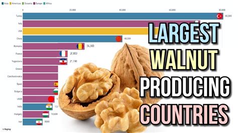 Largest Walnut With Shell Producing Countries Youtube