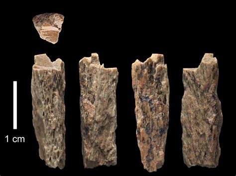 Denisovans: cave study puts human ancestor in its place | The Advertiser