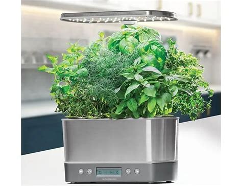 What Are The Aerogarden Special Ingredients? - The Gardener