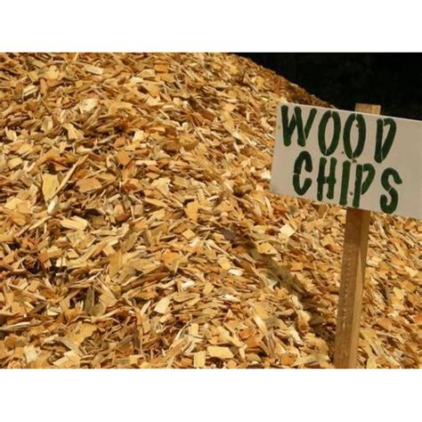 Natural Poplar Wood Chips At Rs 350 Quintal Wood Chips In Bulandshahr