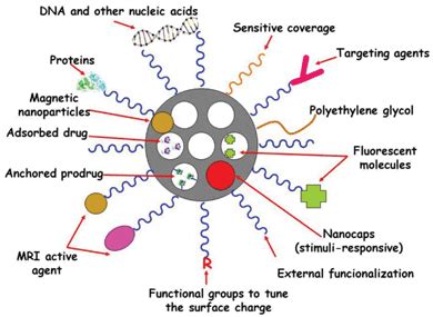 Mesoporous Silica Nanoparticles :: Vaishali Paranjape