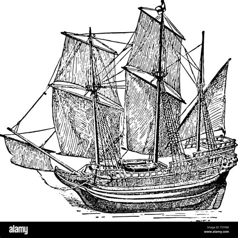 Mayflower Clip Art Black And White