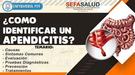 Como Identificar Un Apendicitis Diagnostico Valoraci N Y Tratamiento