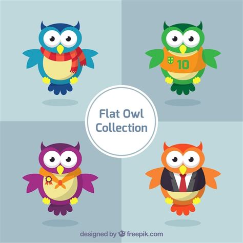 Free Vector Pack Of Four Colorful Owls