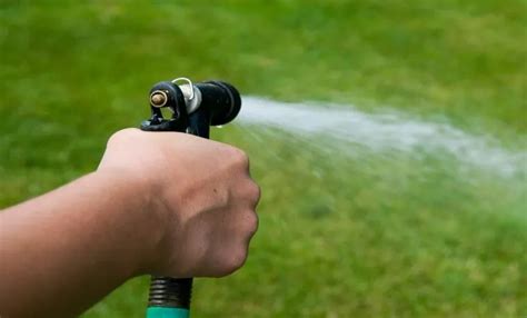 How Many GPM Does A Garden Hose Flow A Comprehensive Guide