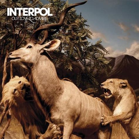 INTERPOL Our Love To Admire 2xLP